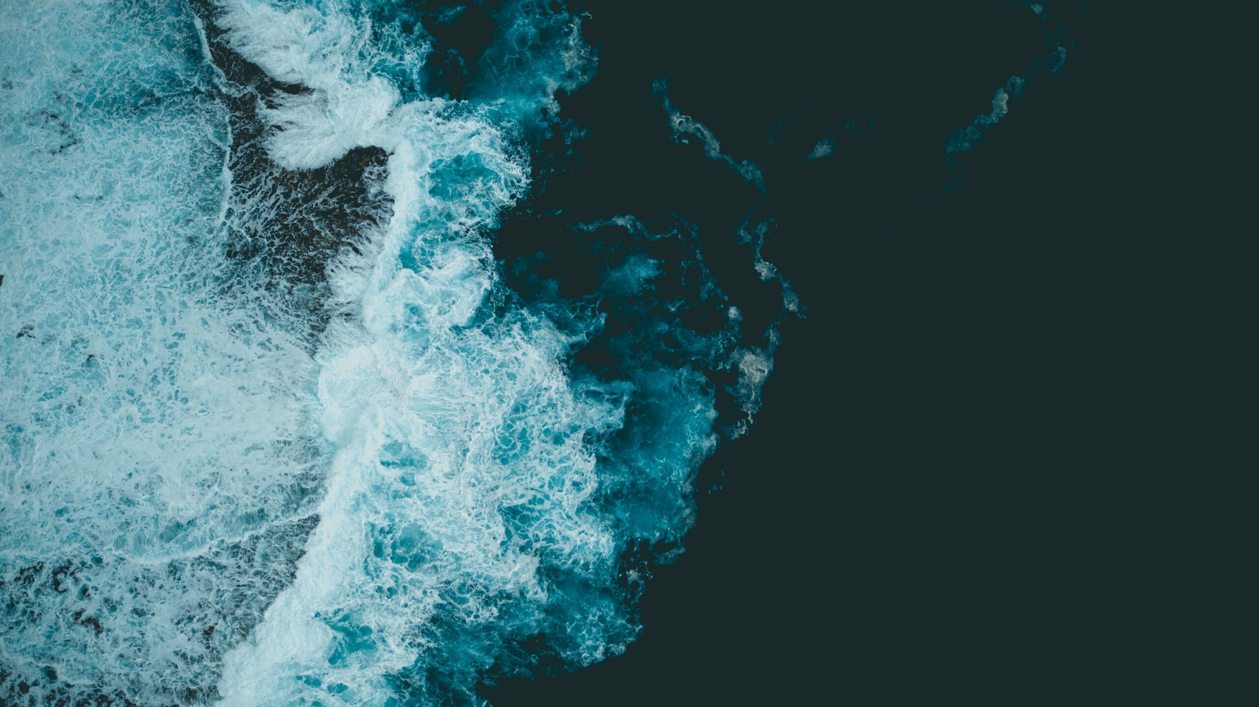 header meer scaled